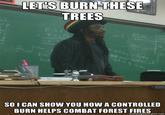 LET'S BURN THESE TREES 02 SO I CAN SHOW YOU HOW A CONTROLLED BURN HELPS COMBAT FOREST FIRES memegenerator.net
