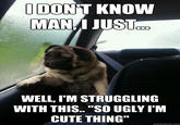 DON'T KNOW MANA JUSI WELL, T'M STRUGGLING WITH THIS.. "SO UGLY I'M CUTE THING" quickmeme.com