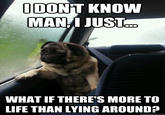 IDON'T KNOW MAN I JUST WHAT IF THERE'S MORE TO LIFE THAN LYING AROUND? quickmeme.com