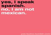 yes, i speak spanish. no, i am not mexican. ves-butno.tumblr.com