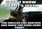 IDON'T KNOW MAN,ITS JUST YOU SMELLED LIKE ANOTHER DOG WHEN YOU CAME HOME TODAY quickmeme.com