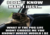 IDON'T KNOW MAN I JUST WHAT IF THE PUG LIFE DIDNT CHOOSE ME YOU KNOW? WHERE WOULD I BE quickmeme.com