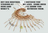 Wincest | Know Your Meme Wincest | Know Your Meme