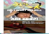 HELL AREVOU?! Why its mel Art thou mad Brony?