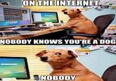 ON THE INTERNET NOBODY KNOWS YOU'RE A DOG NOBODY