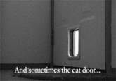 And sometimes the cat door...