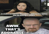 IN ORDER TO PROTECT MY FAMILY U HAD TO SELL DRUGS AND DO HORRIBLE THINGS AWW THAT'S ADORABLE