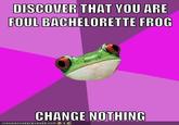 Foul Bachelorette Frog DISCOVER THAT YOU ARE FOUL BACHELORETTE FROOG CHANGE NOTHING ICANHASCHEEZBURGER' COM '$