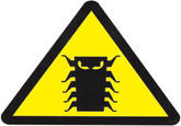 The Millennium Bug Symbol