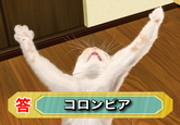 Created by "てんぐさ":http://www.pixiv.net/member.php?id=572736 via "pixiv":http://www.pixiv.net/member_illust.php?mode=medium&illust_id=24581050