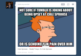 73d.png mark-my-wordss 128 NOT SURE IFTUMBLR ISJOKING ABOUT BEING UPSETAT COLE SPROUSE ORISGENUINELYIN PAIN OVER HIN Cole Sprouse... Really? Guys, it's Cole Sprouse. #cole sprouse #tumblr