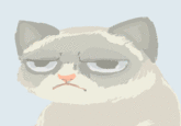 [Image - 457091] | Grumpy Cat | Know Your Meme