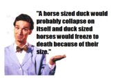 "A horse sized duck would probably collapse on tselfand duck sized horses would freeze to death because ofthei size,"