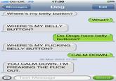 02-UK 3G 17:30 Messages Dog Edit Where's my belly button? What? WHERE'S MY BELLY BUTTON? Do Dogs have belly buttons? WHERE'S MY F------ BELLY BUTTON? CALM DOWN 30 Mar 2012 17:30 YOU CALM DOWN. I'M FREAKING THE F--- OUT. OText Message Send