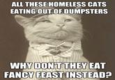 ALL THESE HOMELESS CATS EATING OUT OF DUMPSTERS DONT THEY EAT FANCY FEAST INSTEAD? WHY