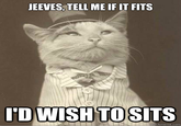 JEEVES, TELL ME IF IT FITS IDWISHTOSITS