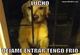 WwW.FAILWTF.com LUCHO DEJAME ENTRAR TENGO FRI0