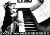 LUCH YOTE AMAREEEEEEEEE