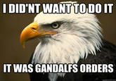 DID'NT.WANTTO DO IT IT WAS GANDALFS ORDERS quickmeme.com
