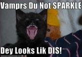 Vamprs Du Not SPARKLE Dey Looks lik DIS!