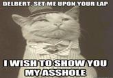 DELBERT, SET ME UPON YOUR LAP WISH TOSHOW YoU MVASSHOLE quickmeme.com