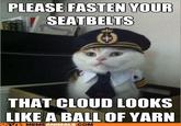 PLEASE FASTEN YOUR SEATBELTS THAT CLOUD LOOKS A BALL OF YARN LIKE MEMEANIMALS COM