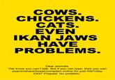 COWS CHICKENS CATS EVEN IKAN JAWS HAVE PROBLEMS Dear animals We know you can't talk. But if you can type, then you can search/share/tweet/complain online for just RM1/day DiGi® Prepaid. No problem.