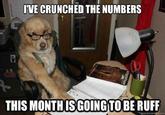 'VE CRUNCHED THE NUMBERS THIS MONTHISGOINGTOBE RUFF quickmeme.com