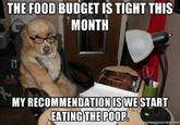 THE FOOD BUDGET IS TIGHT THIS MONTH MY RECOMMENDATION IS WE START EATING THE POOP emegonoratornot