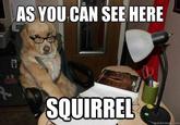 AS YOU CAN SEE HERE SOUIRREL ickmeme.com