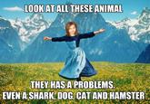 LOOK AT ALL THESEANIMAL THEY HAS A PROBLEMS. ..yy:) EVEN A SHARK,DOG, CAT AND HAMSTER