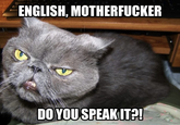 ENGLISH, M----------- DO YOU SPEAKIT?!