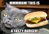MMMMHM! THIS IS A TASTY BURGER!