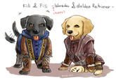 Kili 2 Fili labado dolden Rethiever olden etriever PuPPY KADE ART