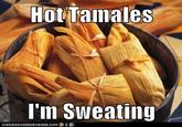 HotTamales l'm Sweating