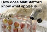 mattstafford apples bear |How does MattStafford know what apples is AP