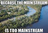 BECAUSE THE MAIN STREAM IS TOO MAINSTREAM