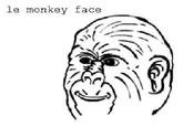 le monkey face
