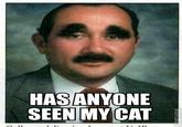 HASANYONE SEEN MY CAT