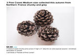 3 Pine Cones Medium size collected this autumn from Northern France chunky and grey $9.00 UsD 3 medium sized chunky pine cones 4" high x 4". Ideal for an extra special autumn /christmas decoration or wreath I call these a "Parade of Pine Cones"
