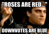 "ROSES ARE RED DOWNVOTES ARE BLUE quickmeme.c