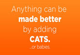 Anything can be made better by adding CATS. .or babies
