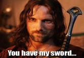 You have my sword..