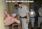 Oh hai, how's the jailbreak going?
