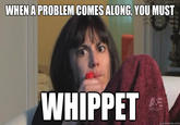 WHEN A PROBLEM COMES ALONG, YOU MUST WHIPPET quickmeme.com