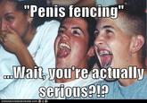 Penis fencing Wait,you're actually PIP ICANHAS CHEEZBURGER.COM S