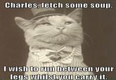 Charles, fetch some sou I wish to rum between our legs whilst you car . ry it