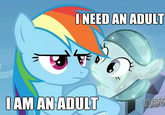 I need an adult I am an adult Rainbow Dash IAM ANADULT