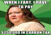 WHEN I FART, IHAVE TO PAY $250,000 IN CARBON TAX