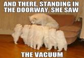 AND THERE, STANDING IN THE DOORWAY, SHE SAW THE VACUUM